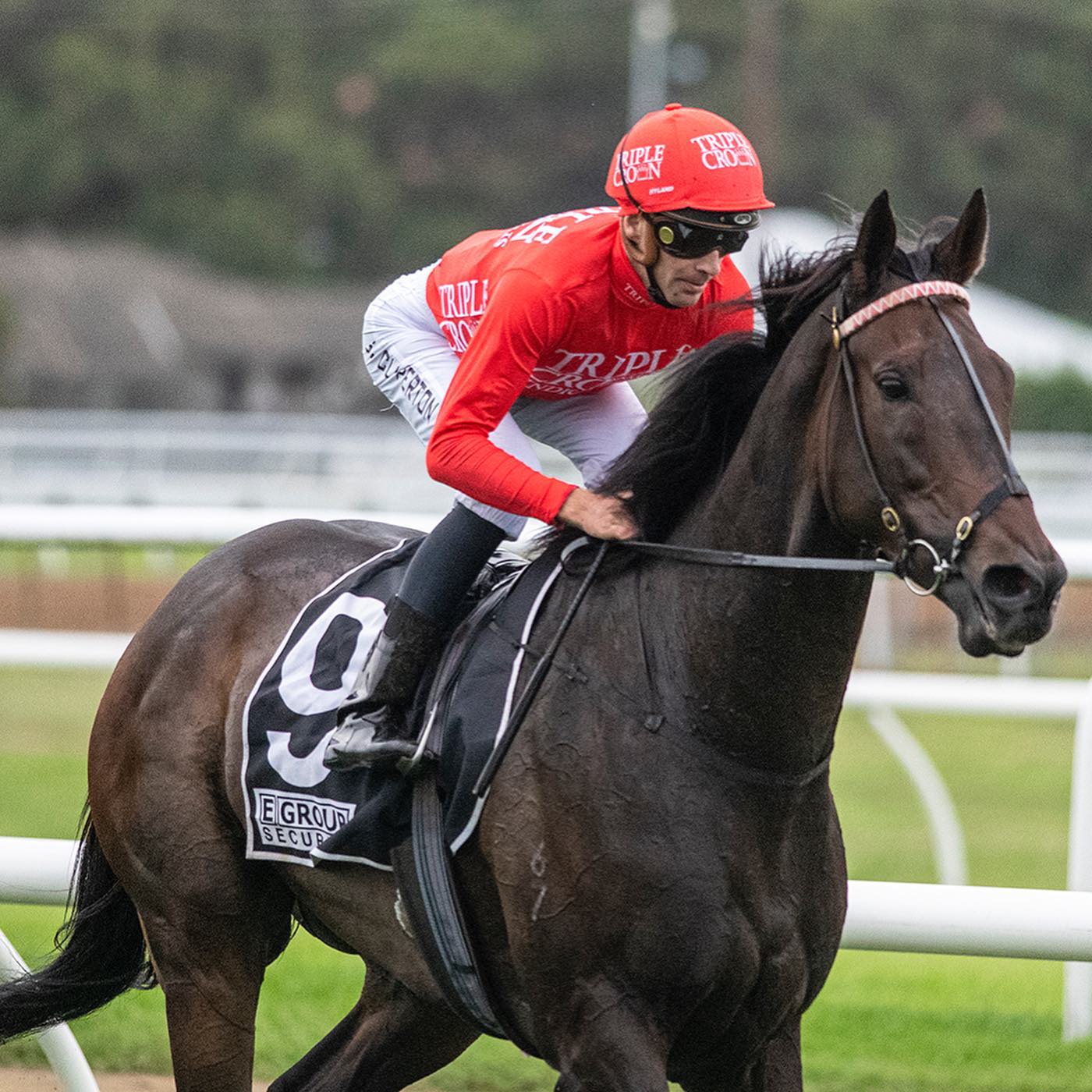 Snowden Racing - A sad week for the stable with the... | Facebook