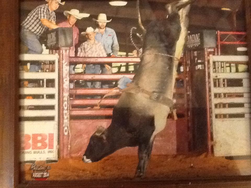 Wolfe Rodeo & Cattle | Kirbyville TX
