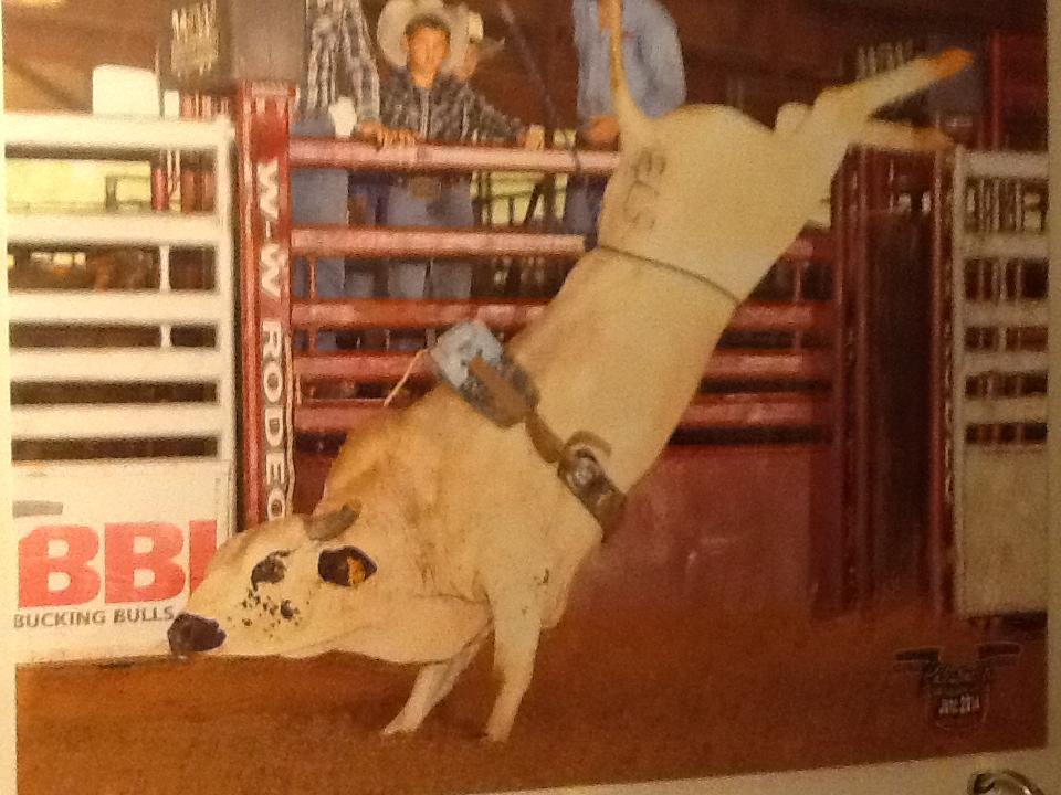 Wolfe Rodeo & Cattle | Kirbyville TX