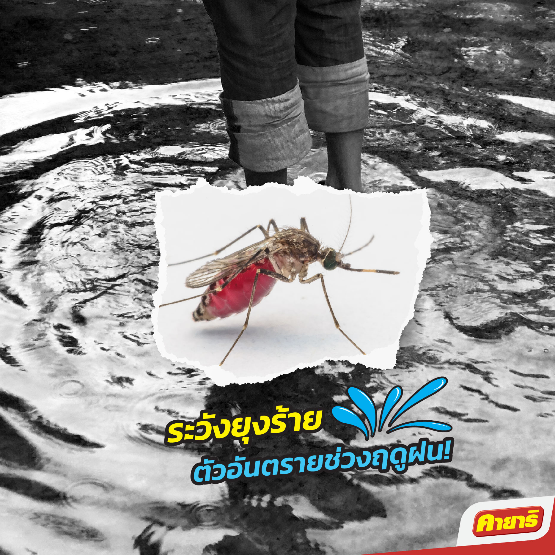 Kayari - หน้าฝนทีไร หวั่นใจทุกที! เข้าสู่ฤดูฝนเป็นต้องระวัง “โรค ...