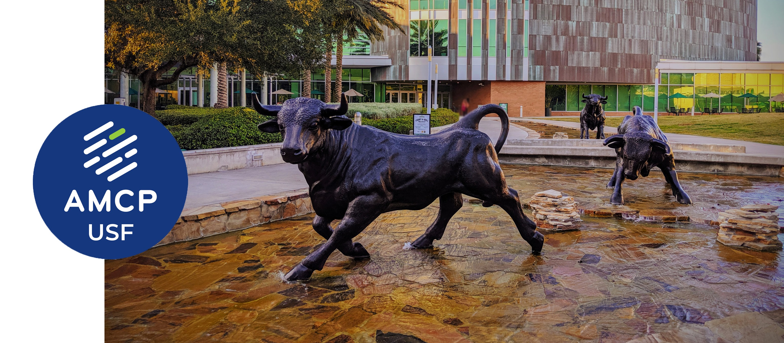 AMCP USF Chapter | Facebook
