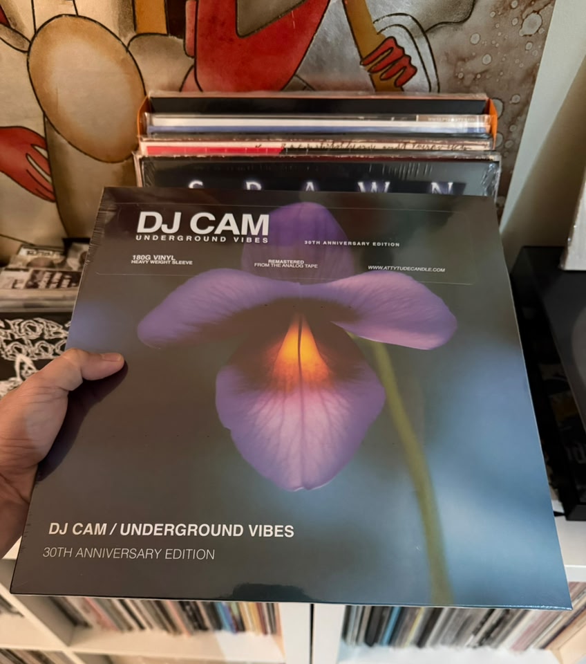 DJ Cam - Underground Vibes 30th Anniversary vinyl edition