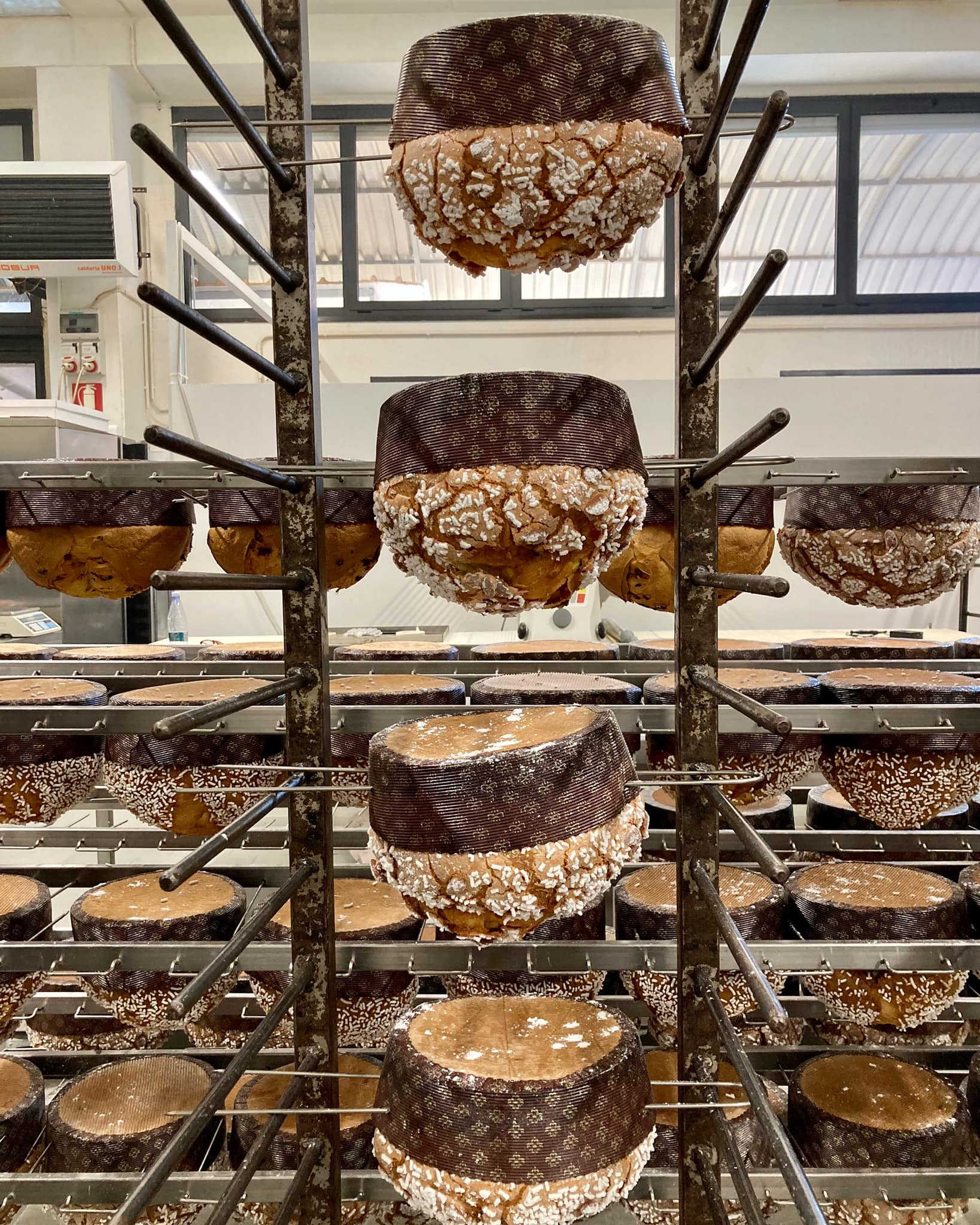 Pasticceria Cocconi | Parma