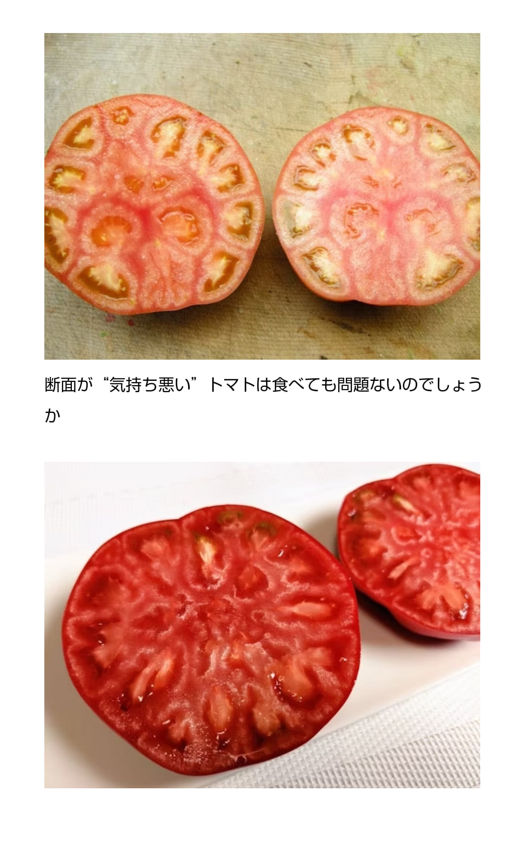 愛知 トマト 断面