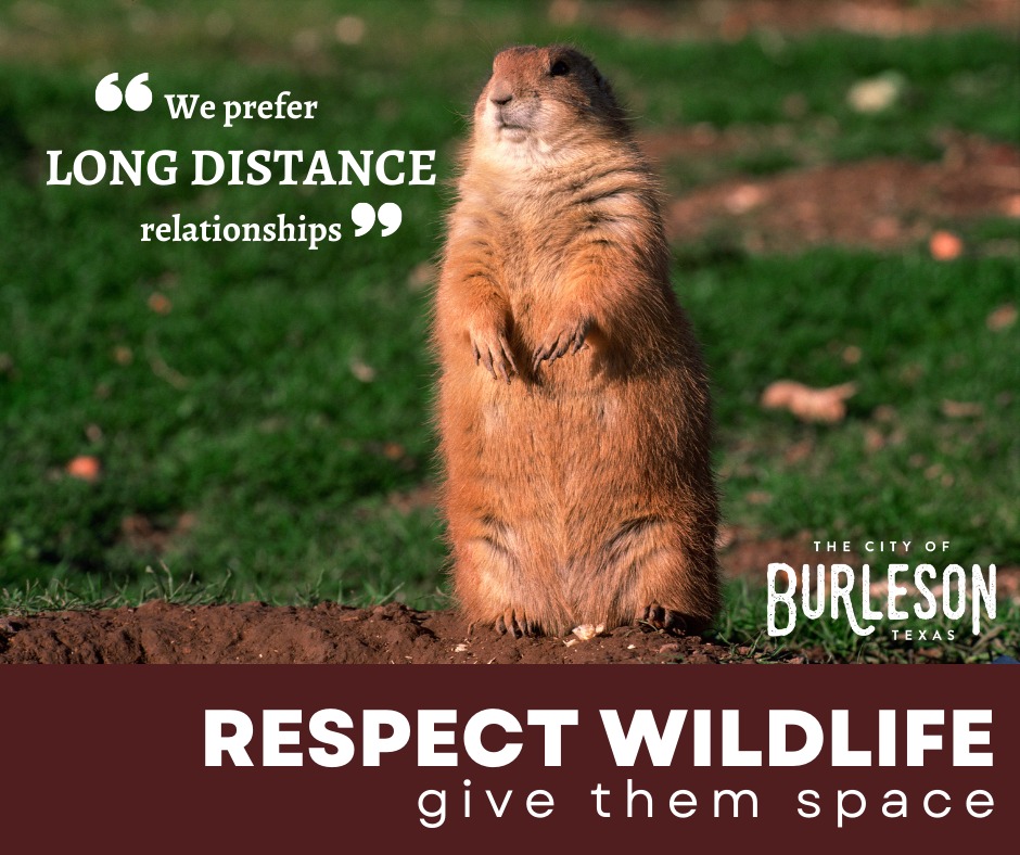 Here in Burleson, we serve... - Burleson Parks and Recreation | Facebook