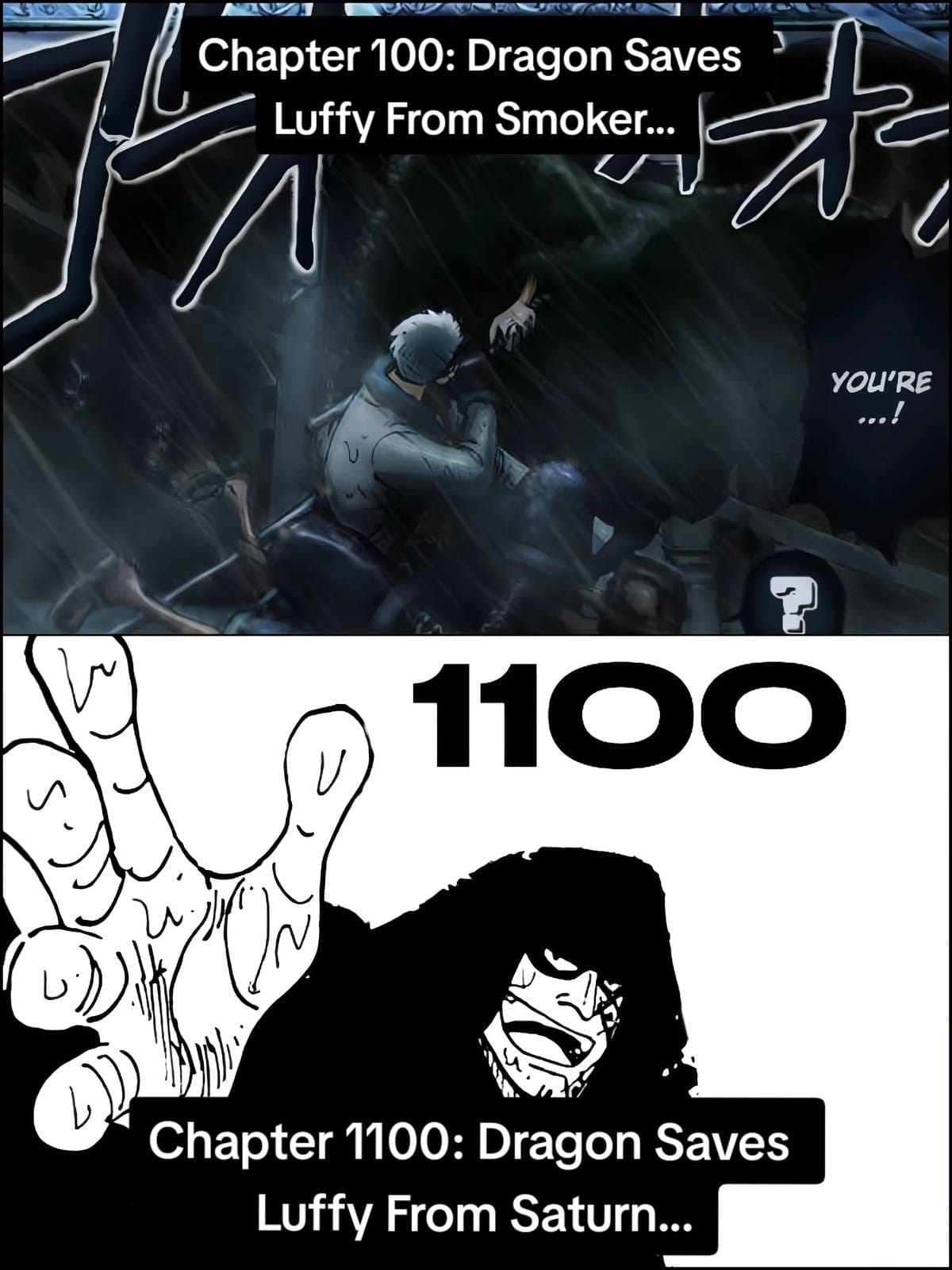 ワンピース 1100 raw