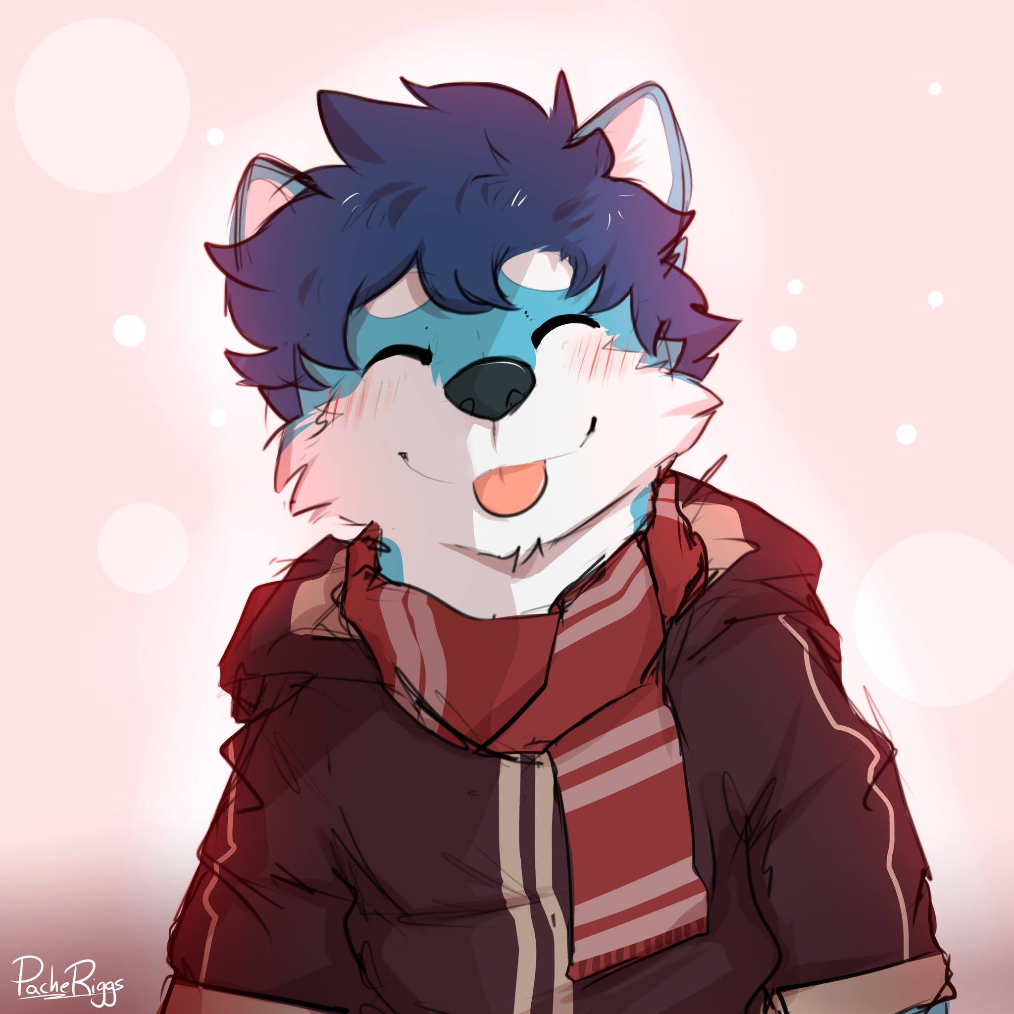 ~Zangoose By Pache_Riggs - Another Gay Furry Page | Facebook