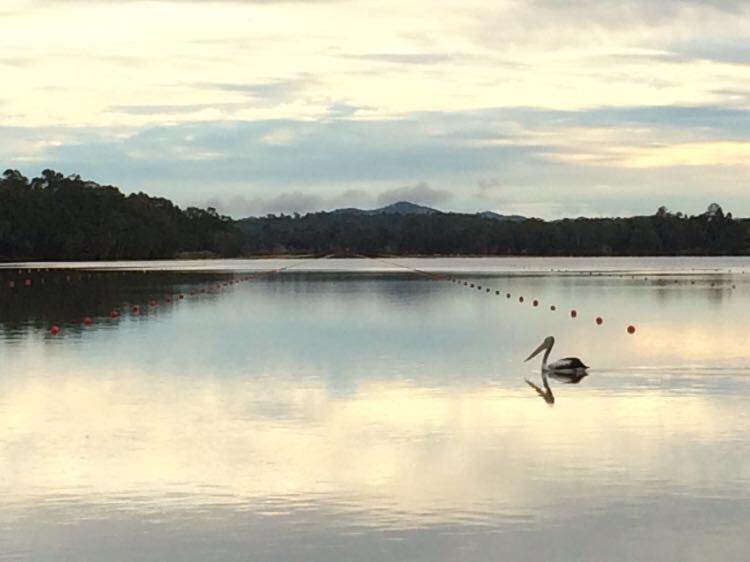 Happy Friday!... - Rockhampton Fitzroy Rowing Club Inc.