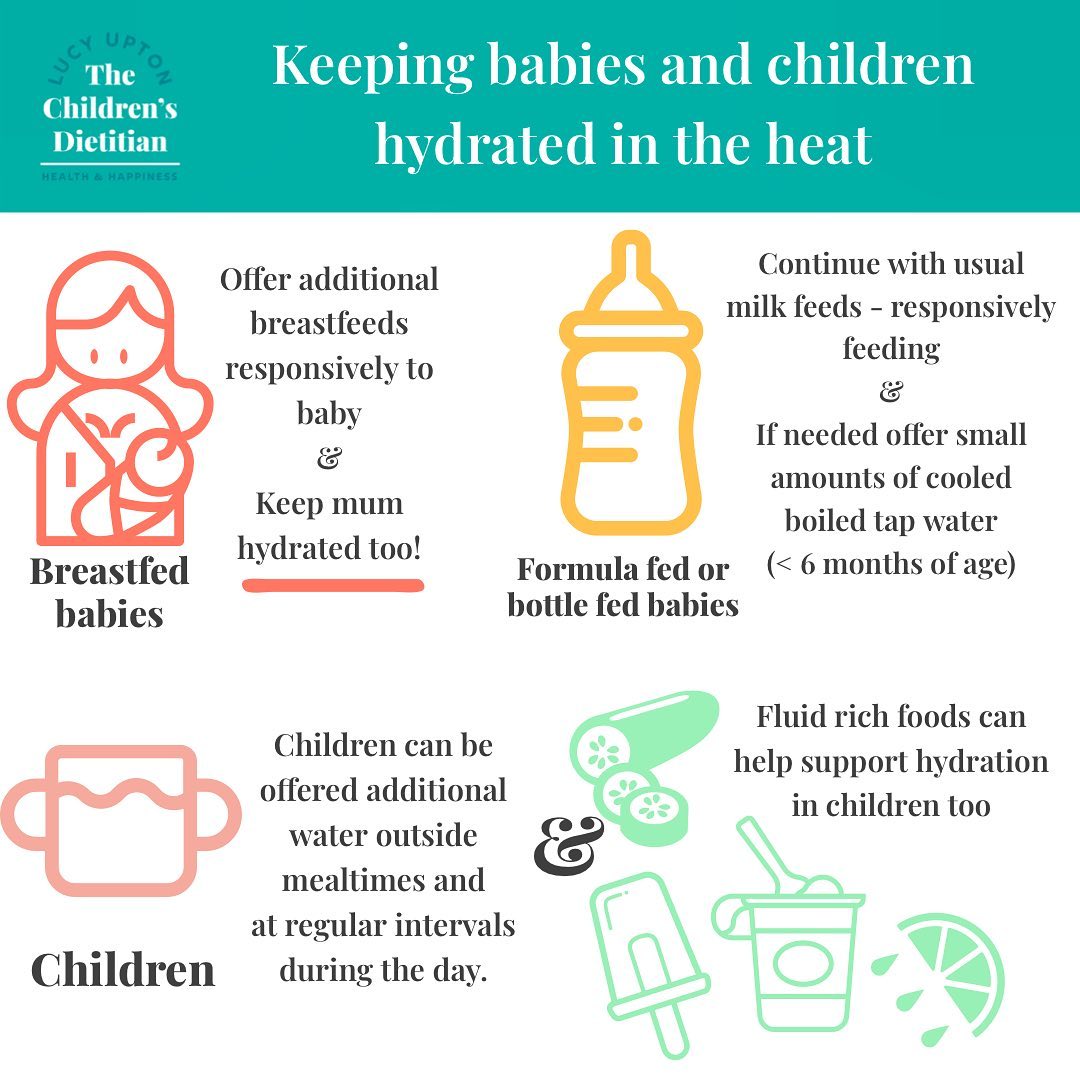 the-children-s-dietitian-i-ve-had-a-lot-of-conversations-already