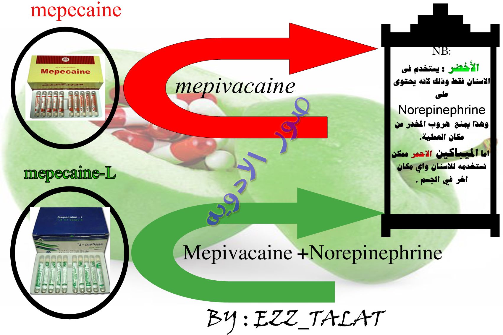 ezz-talat-types-of-mepacaine-local-anesthetic-drug