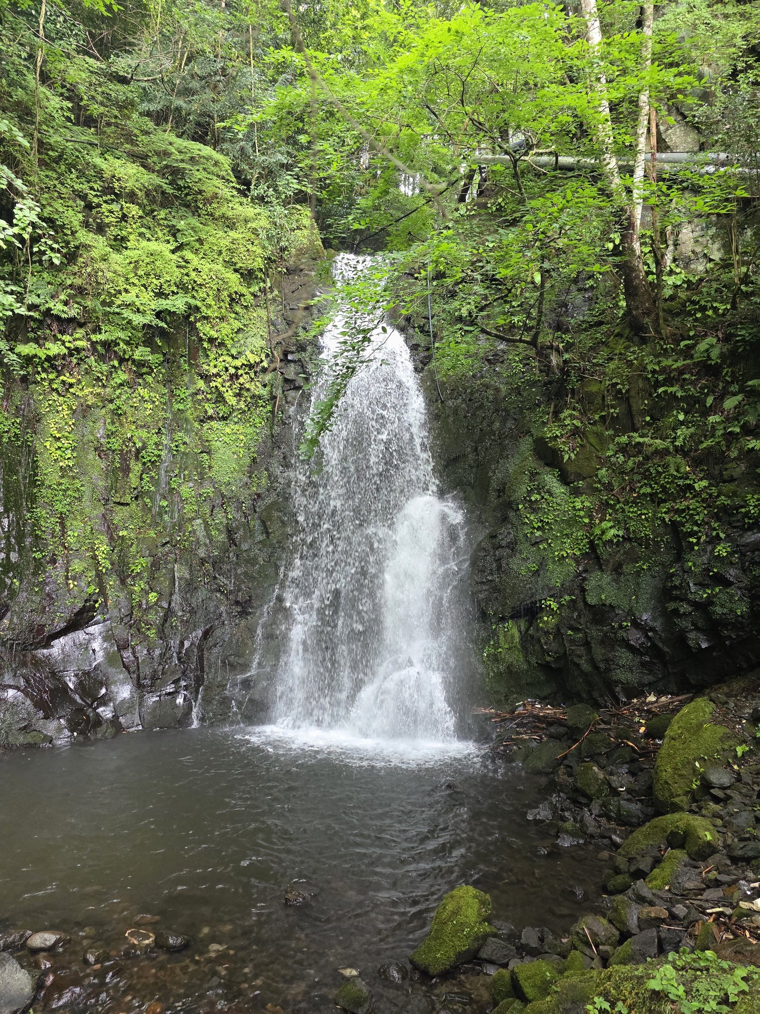 高さ10m,横20mの滝。 流れる様子はまるで水のカーテンです。 四季おり 