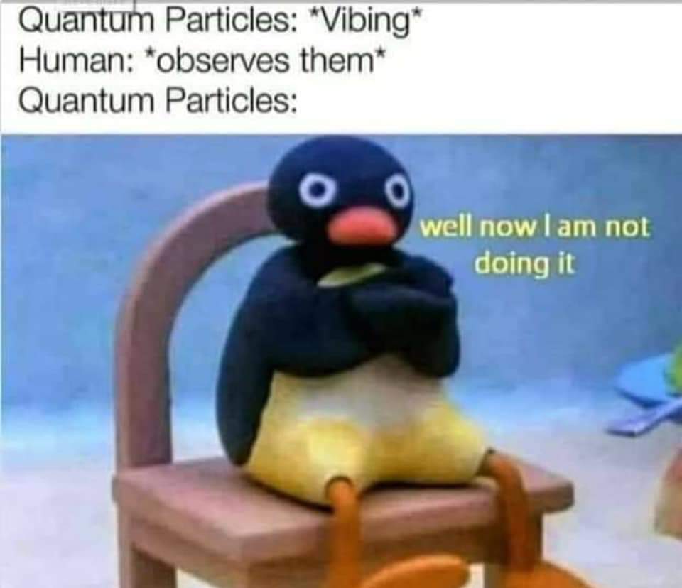 Boolean Memes for Git-Pushing Victoria teens