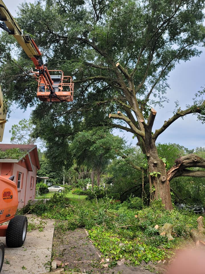 Wade's tree Service | Plant City FL