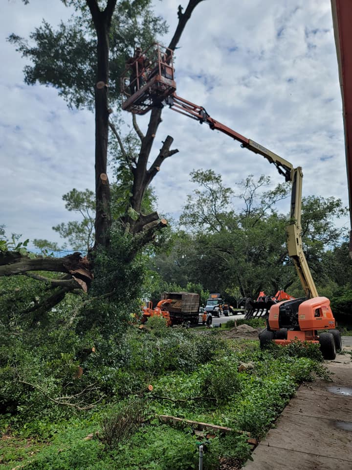 Wade's tree Service | Plant City FL