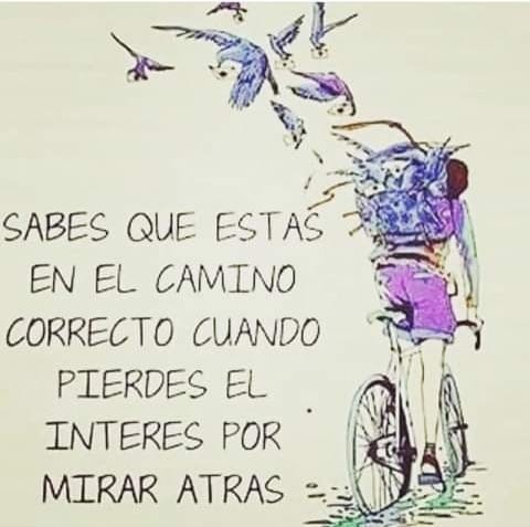 Imágenes, Camina y Conoce
