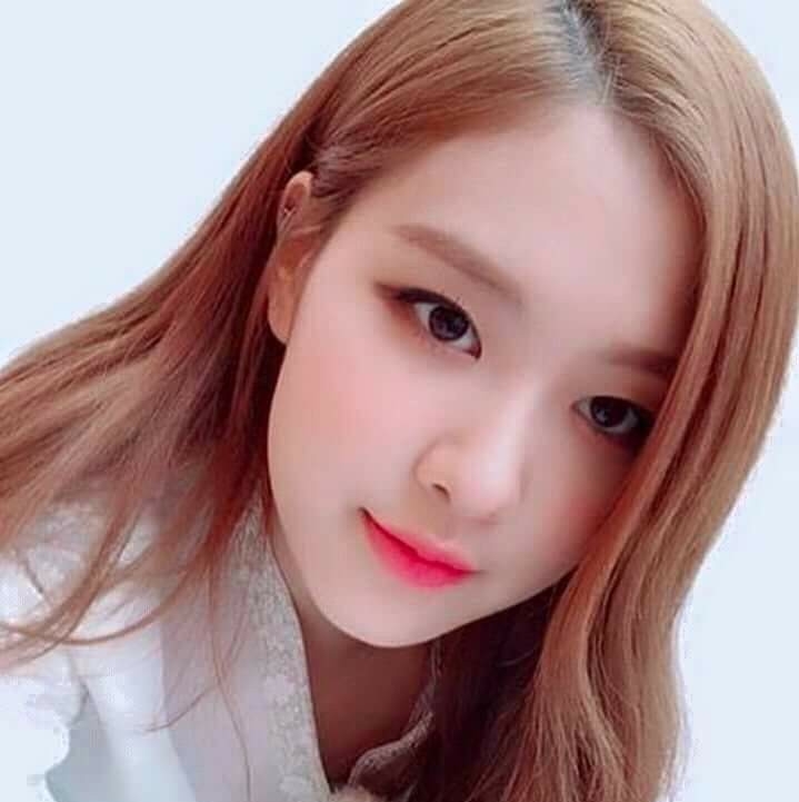 Blackpink Rose Shipper Stories