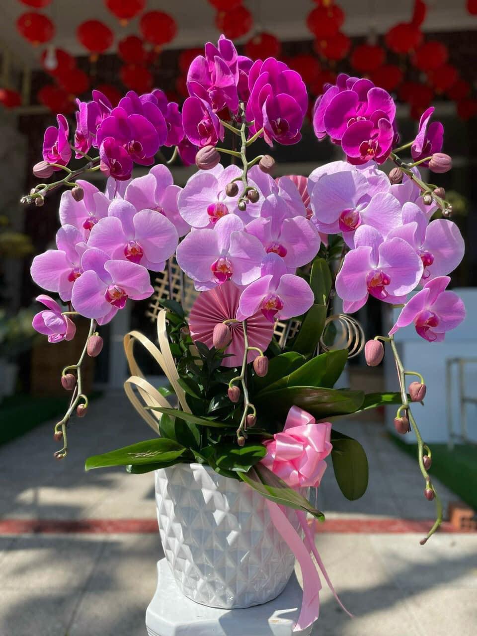 Hoa tươi Ngọc Hà-Shop hoa Huyện Gia Lâm Thành phố Hà Nội | Hanoi