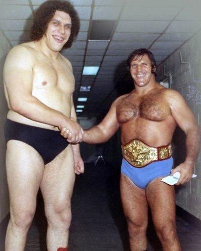 Amazing shot of Andre The Giant & Stan Hansen!