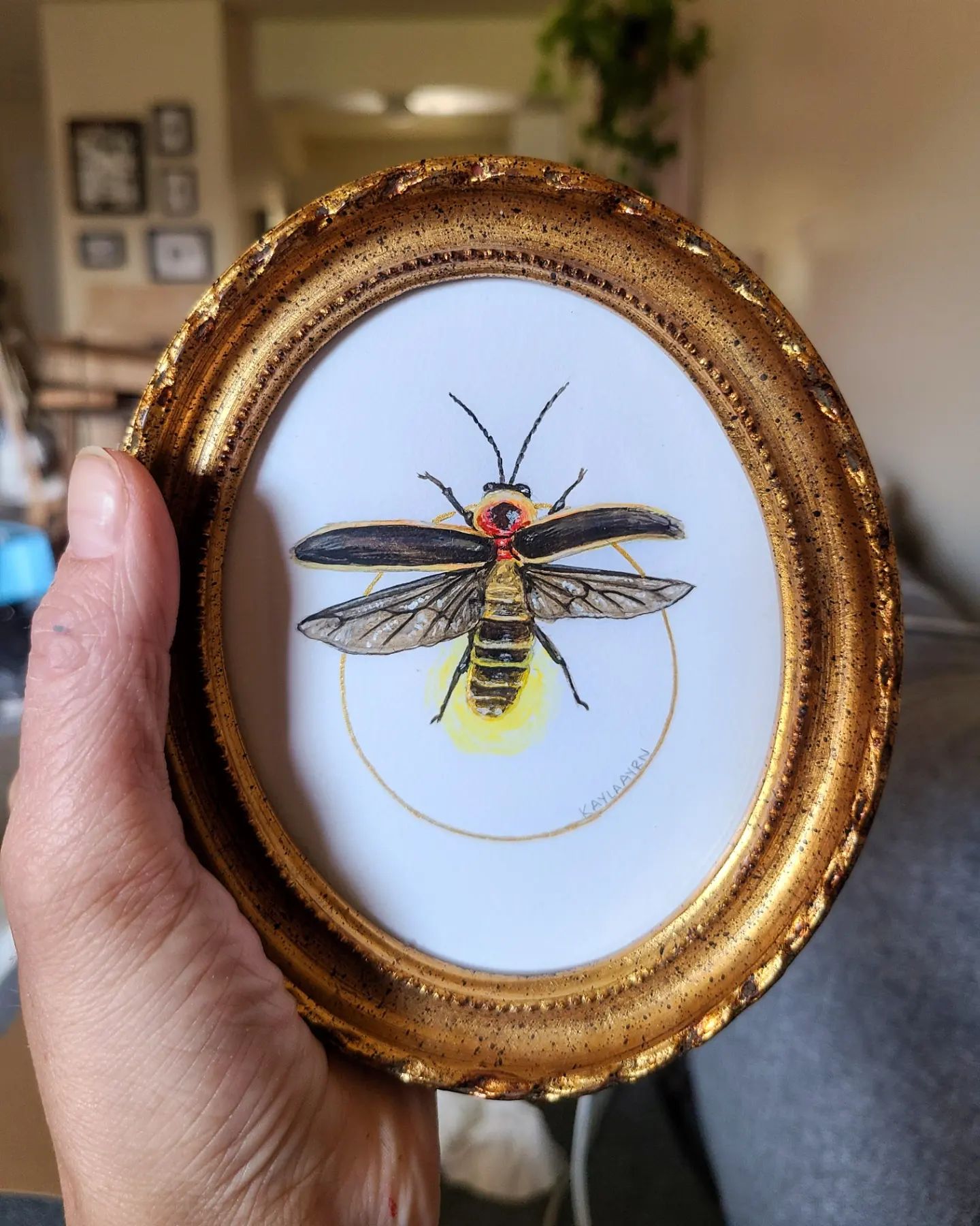 Kayla Ayrn: Art, Illustrations, Insects