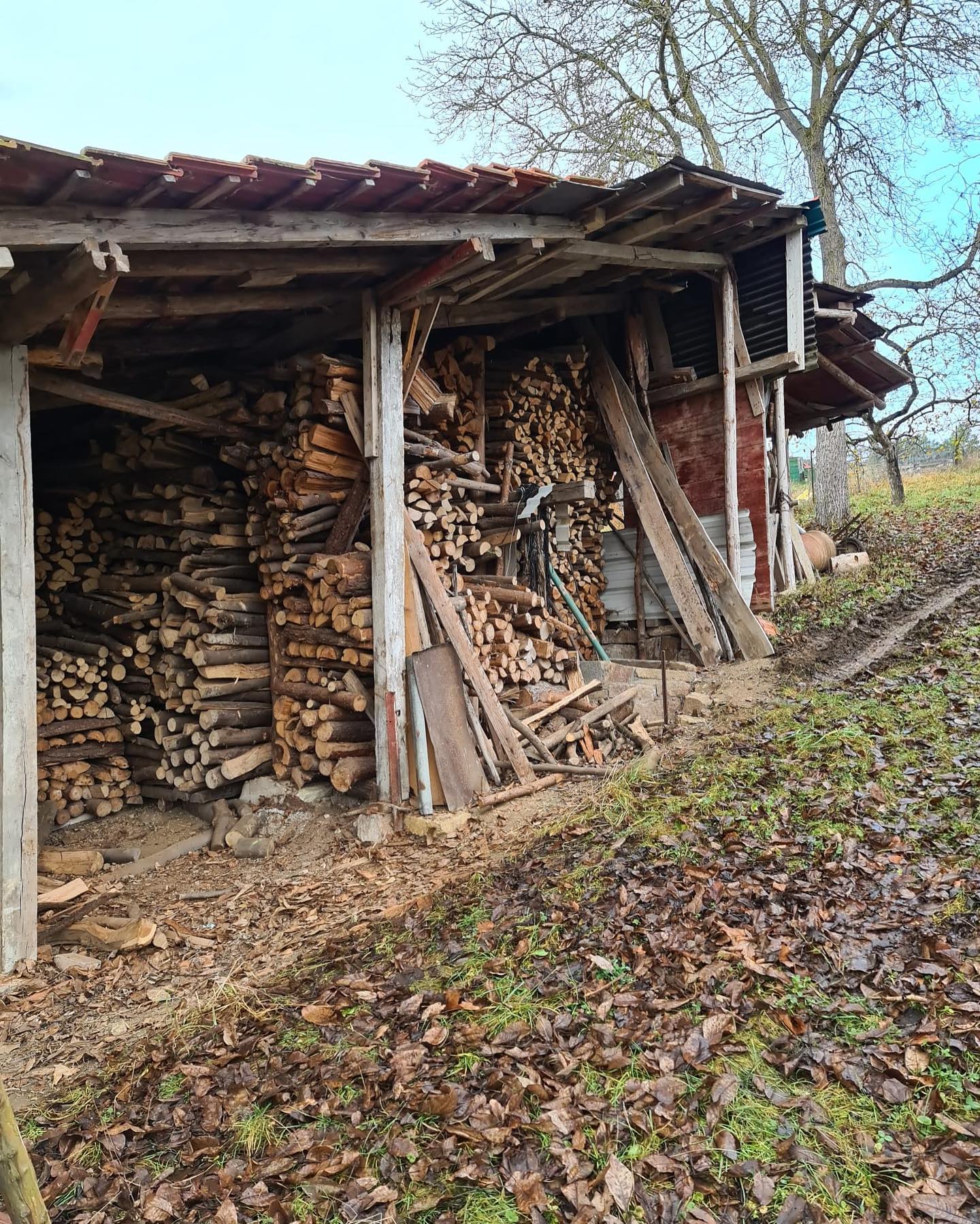 🪵Holz zu verschenken🪵 Wir haben Brennholz zu verschenken