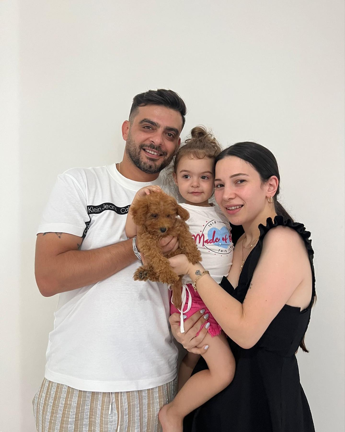 Toy Poodle SHOW HAUSE OF İSTANBUL toypoodle toypoodlelove  