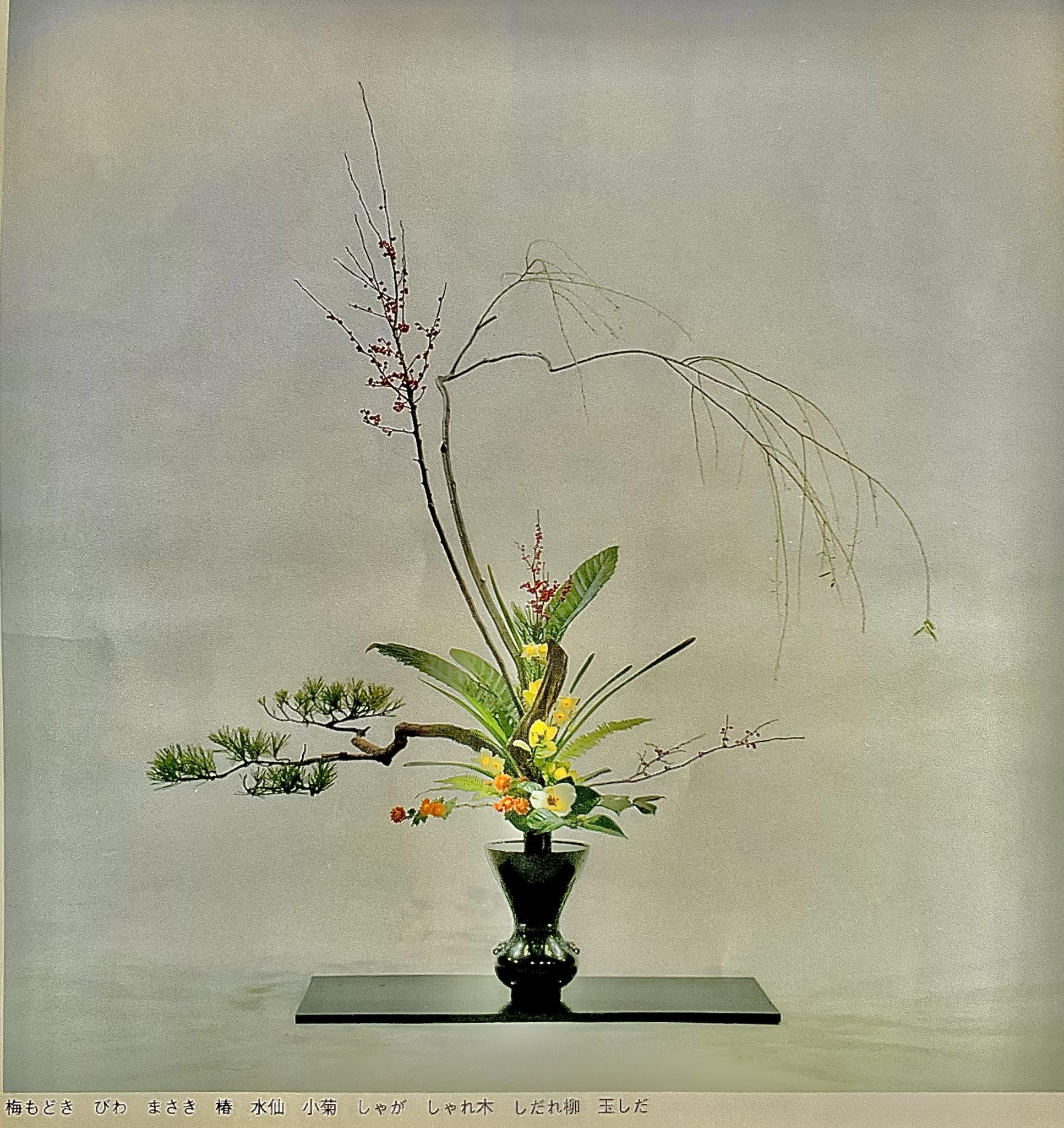 破之章· 50 19個条內之左流枝著作：柴田英雄·守破離立花正風体花材：梅 