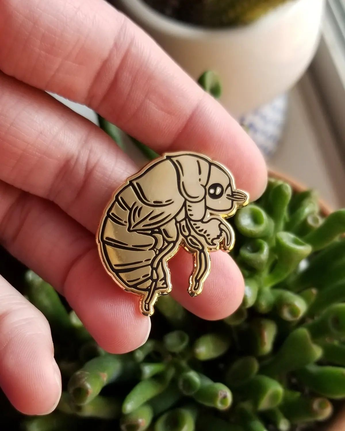 Kayla Ayrn: Art, Illustrations, Insects