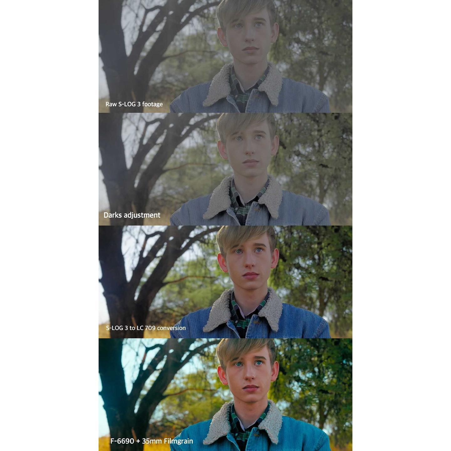 🎨 Color grading demonstration... - LUTs Color Grading Pack