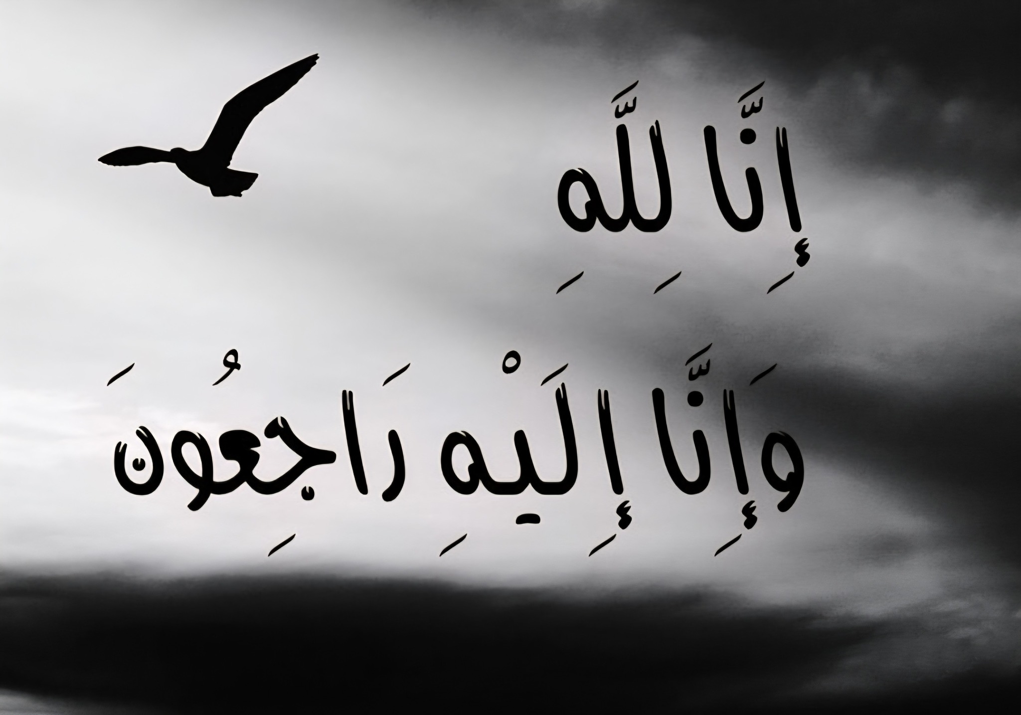 محمد الشريف - انا لله وانا اليه راجعون عظم الله الأجر وغفر... | Facebook