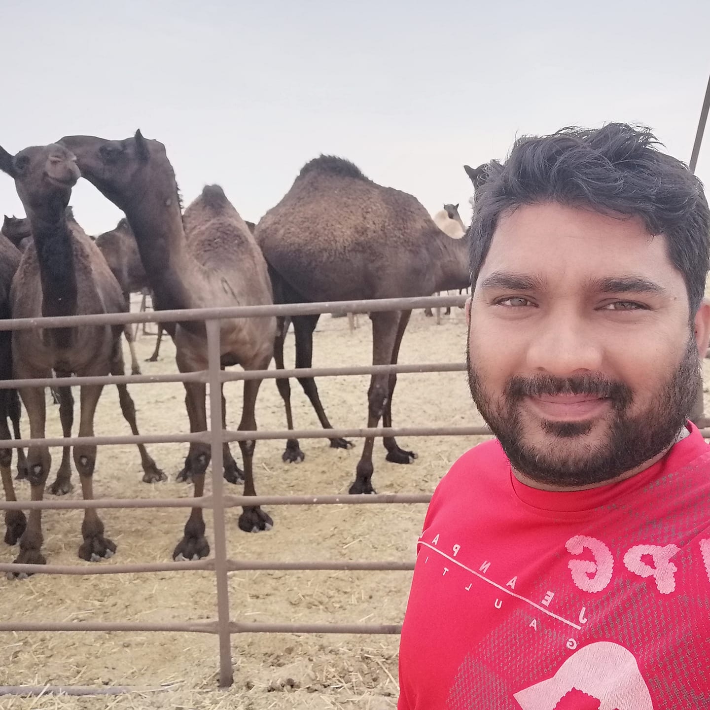 নিজাম সরকার রবি