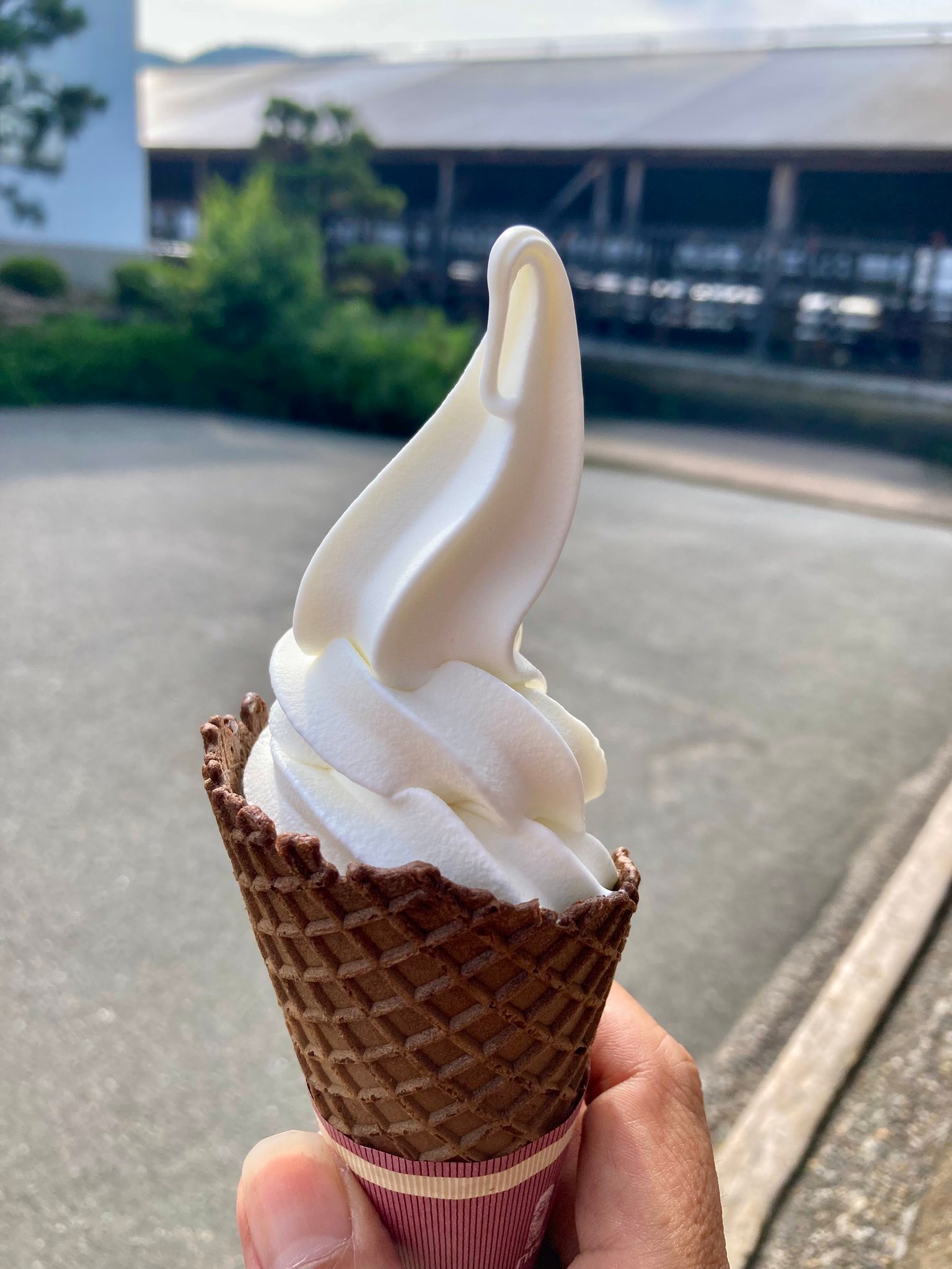 滋賀のイイとこっ（≧∇≦） | 真夏のような茹だる暑さの中、高島のPLANTから宝牧場へ🚗💨現地で甘さ控えめの濃厚なソフトクリーム🍦をい ...
