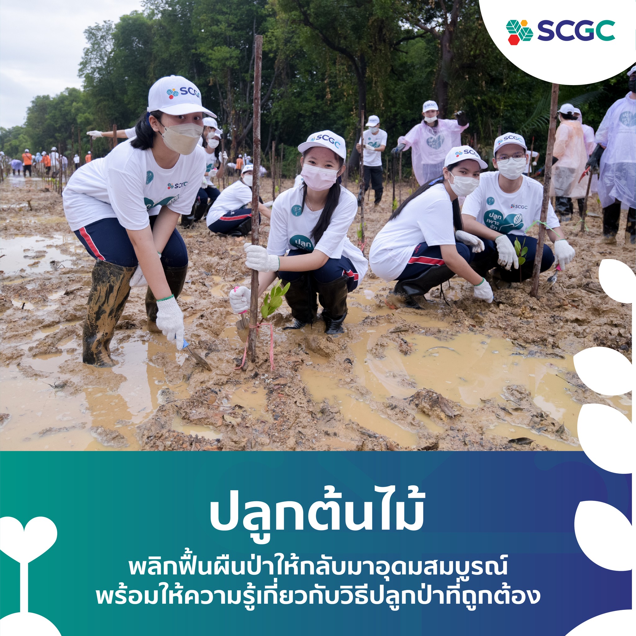 SCGC - 💫SCGC จึงได้ร่วมกับหน่วยงานราชการ และชุมชนในท้องถิ่น เพื่อร่วม ...