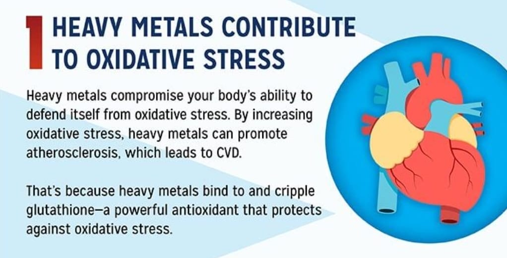 Your participation matters! By joining the Arizona biomonitoring project, you will learn about your heavy metal exposure and get practical tips to reduce everyday risks. Plus you receive: ✓ Free urine testing