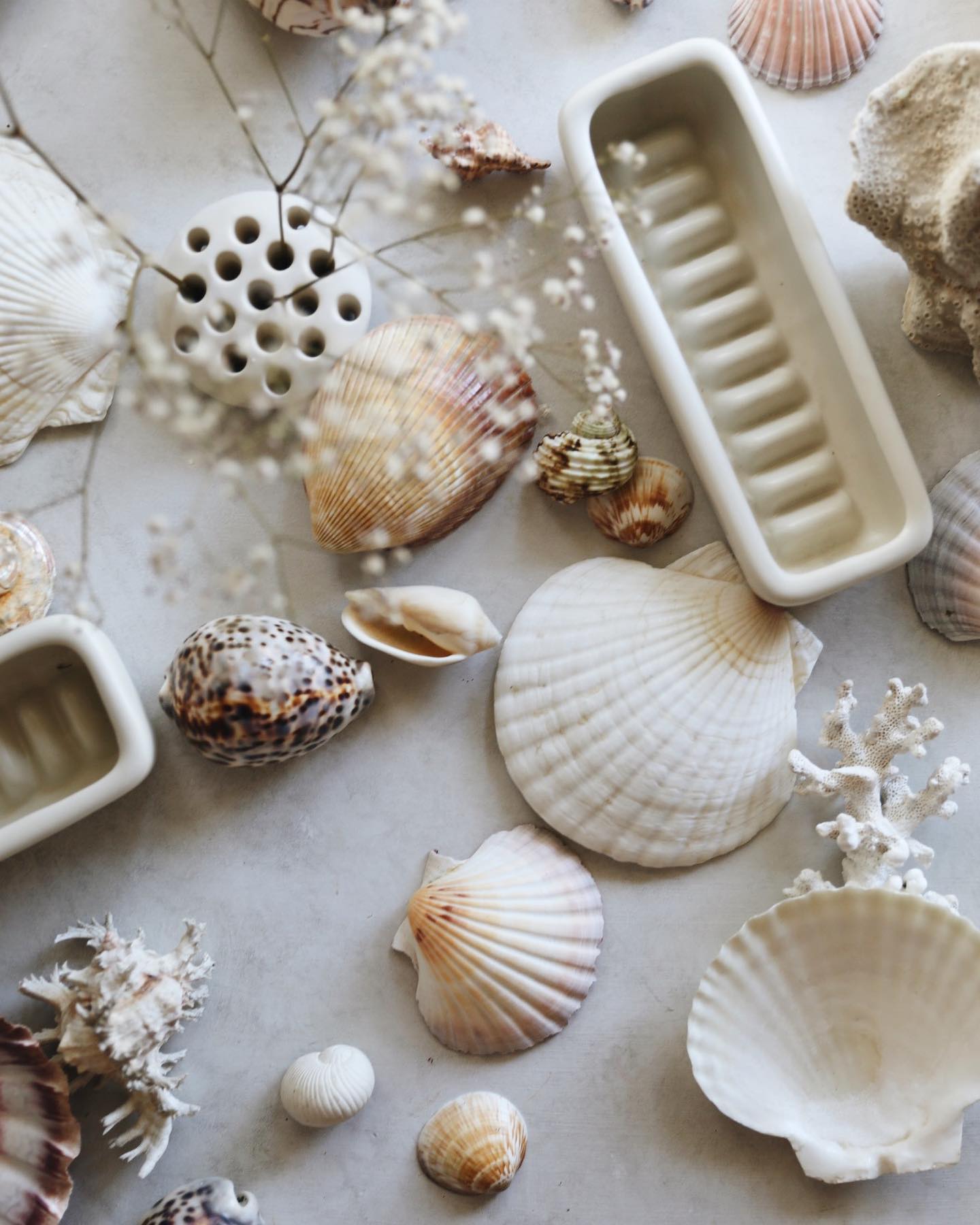 Oh Flora Store - Our Flume Vessel in shell 🐚 These... | Facebook