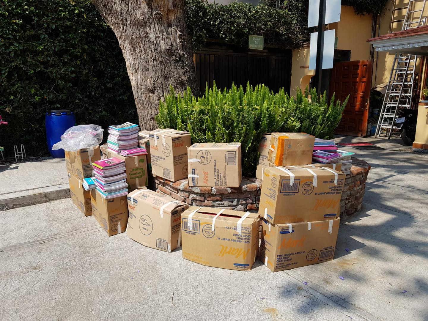 En esta ocasión preescolar hizo una... - Colegio Téifaros