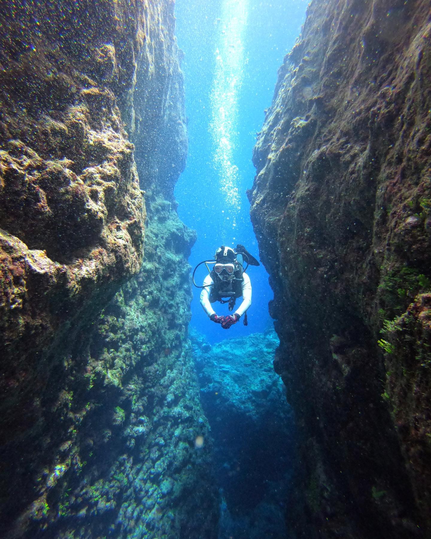 Prodivers saipan | Saipan Northern Mariana Islands