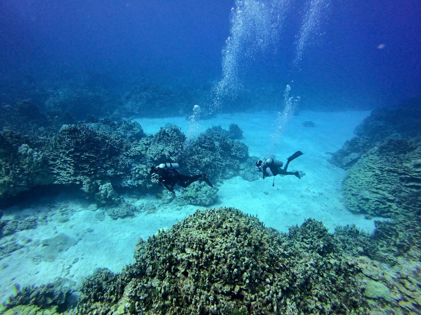 Prodivers saipan | Saipan Northern Mariana Islands
