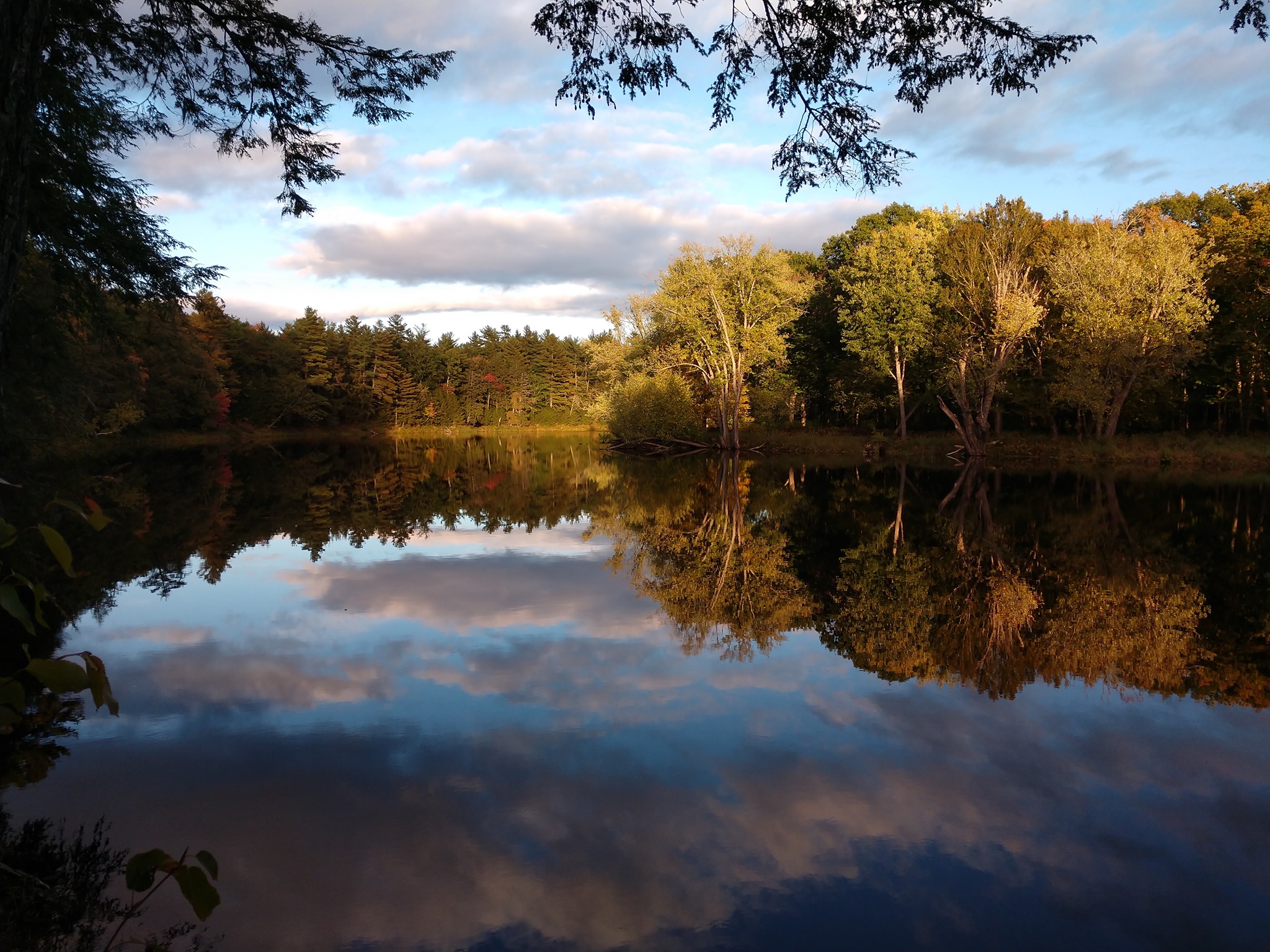 First Choice Real Estate mainelandbroker.com | Houlton ME