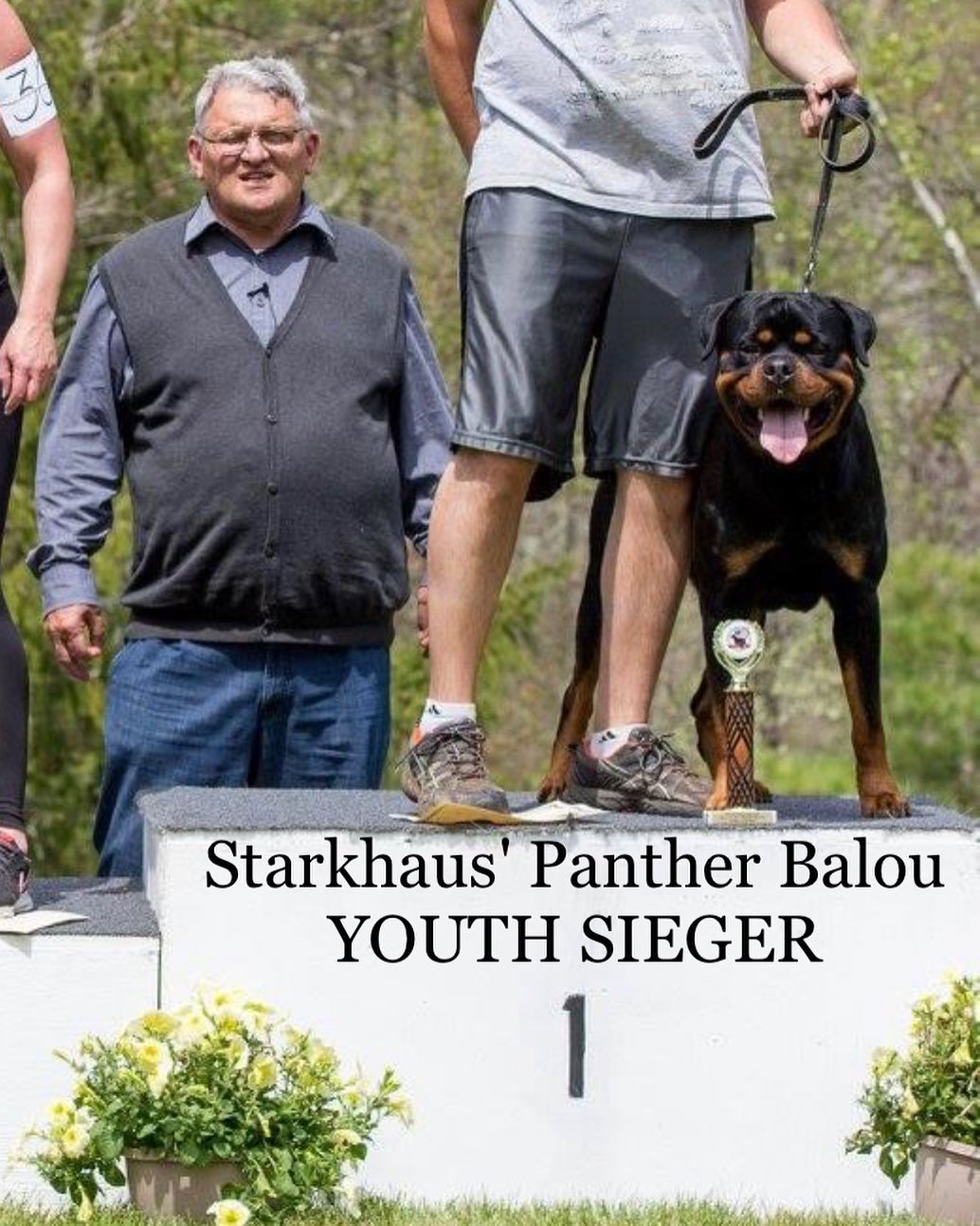The passing of honorable Judge... - Starkhaus Rottweilers | Facebook