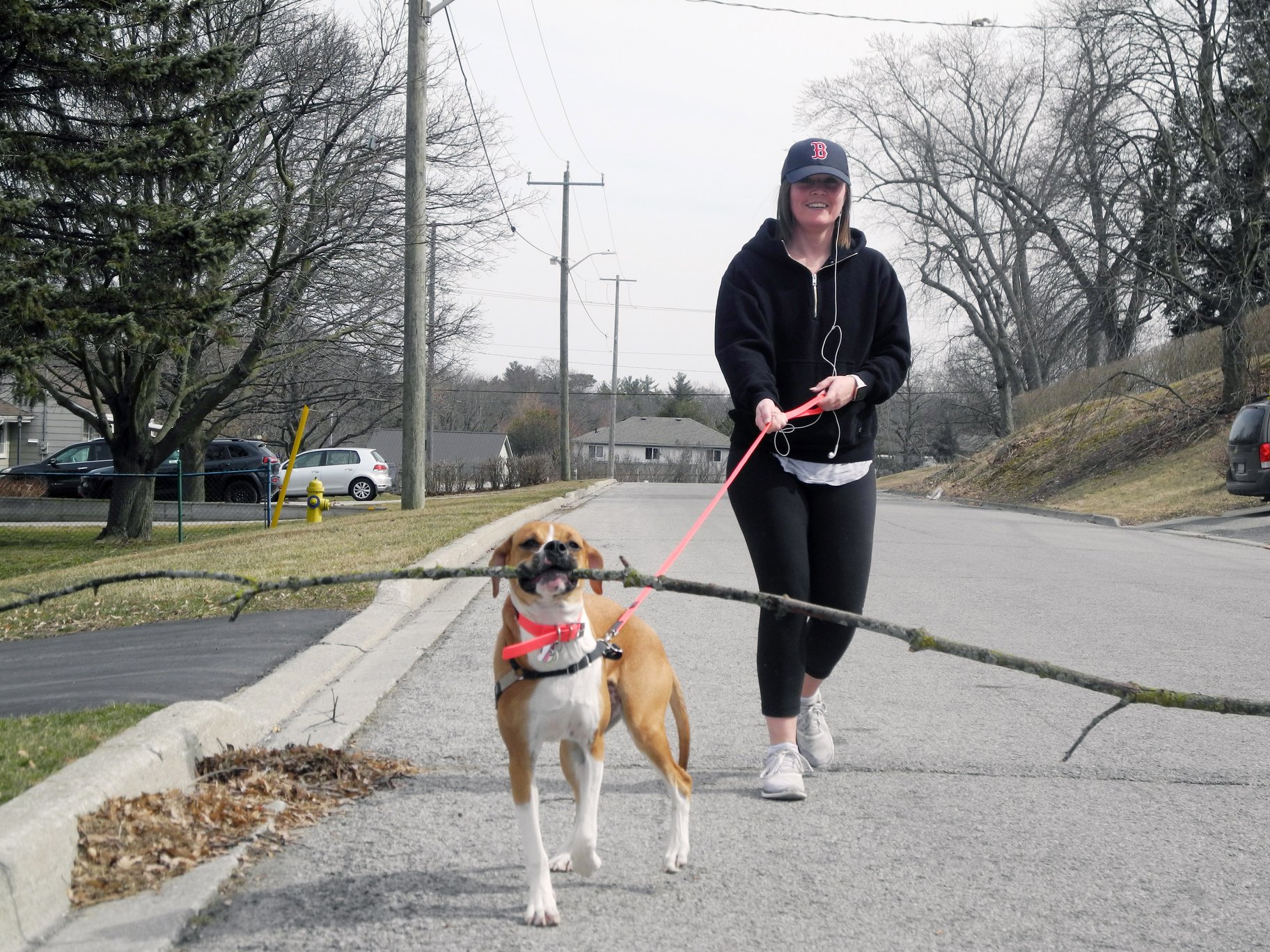 Simcoe - KEEP YOUR DISTANCE Stella the dog appears to have taken the ...