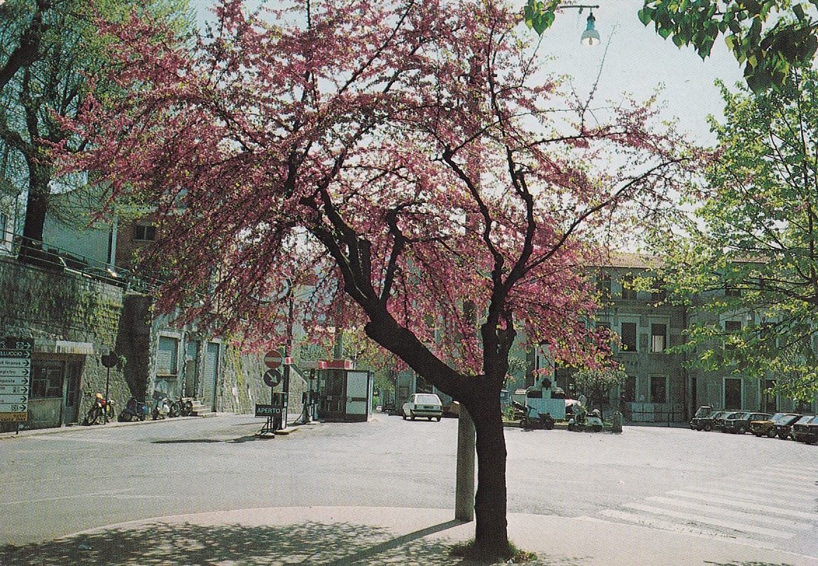 il-lagonegrese-in-cartolina