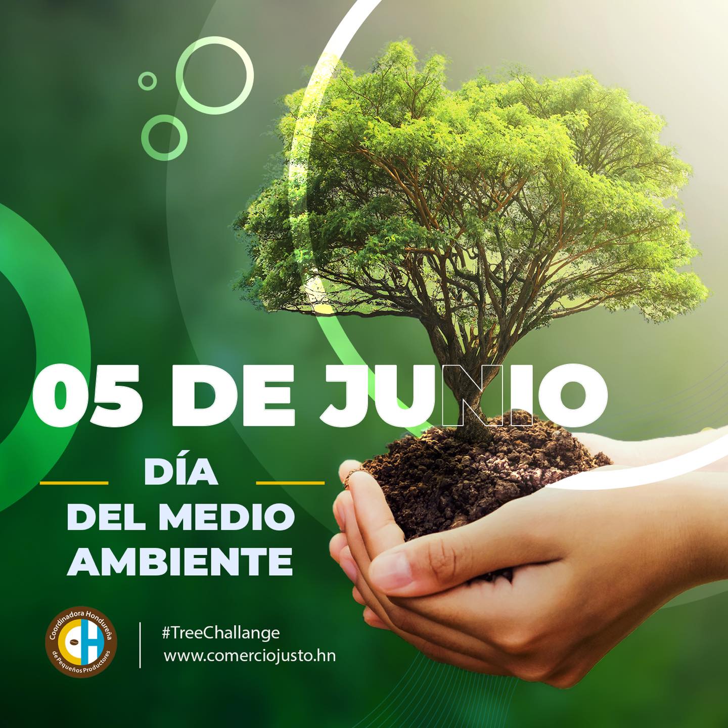 CHPP - El 5 de junio se celebra el Día Mundial del Medio...