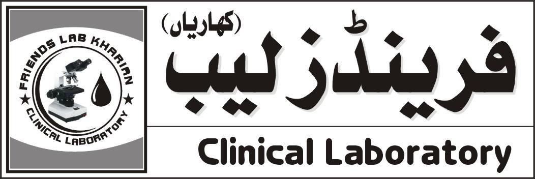 Friends Lab | Kharian