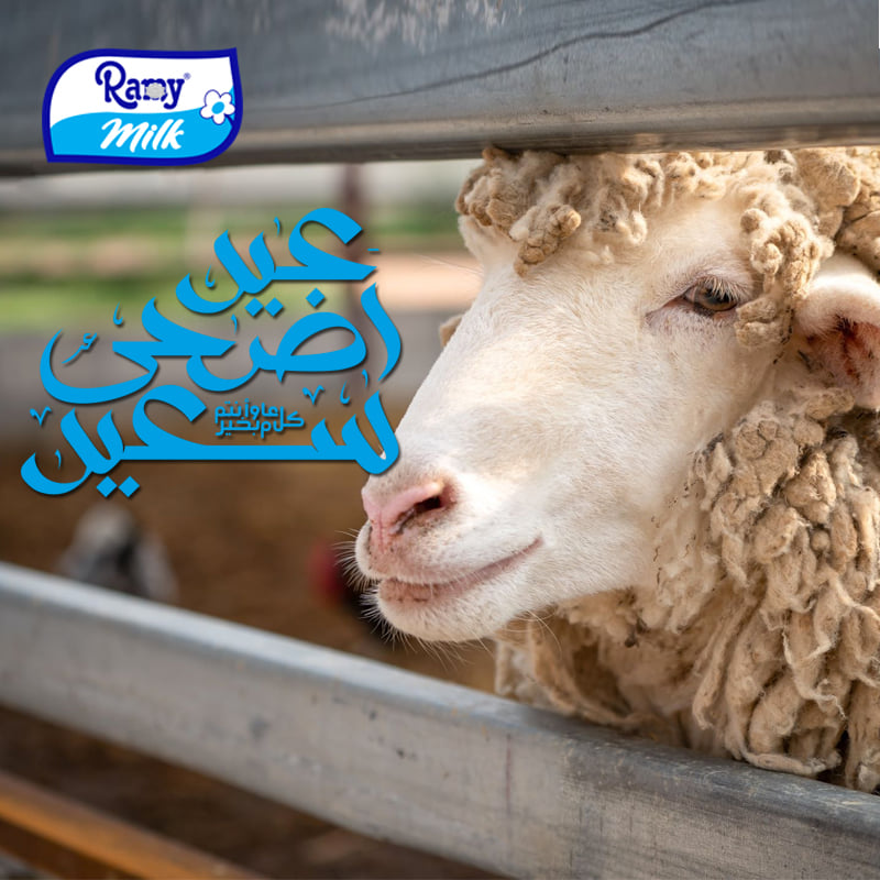 Ramy Milk - تتقدم إدارة مجمع رامي بأحرّ التهاني وأطيب... | Facebook
