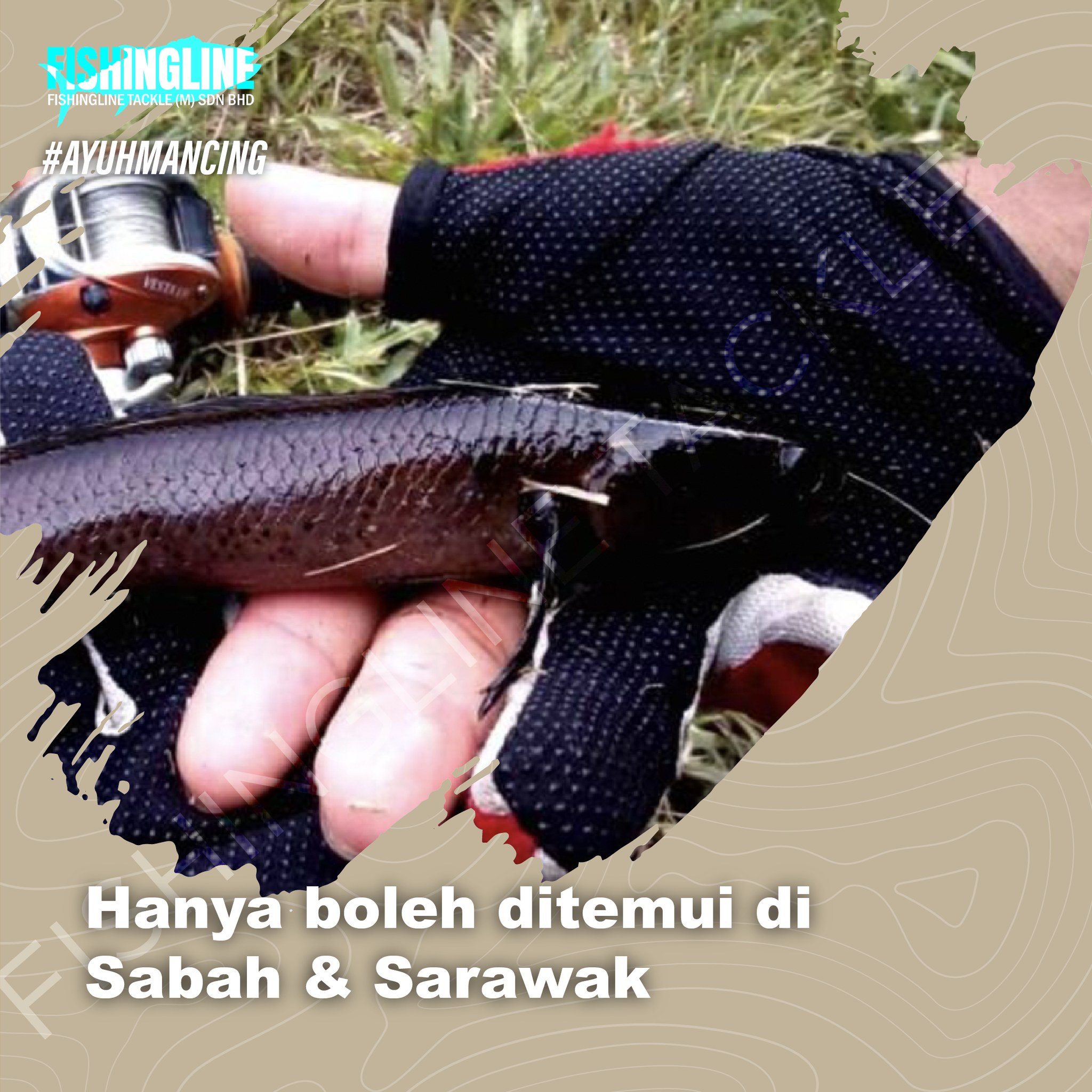 [ HARUAN RUNTU ] APA TU ?? HARUAN... - Fishingline Tackle