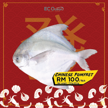 EC Ocean Frozen Seafood