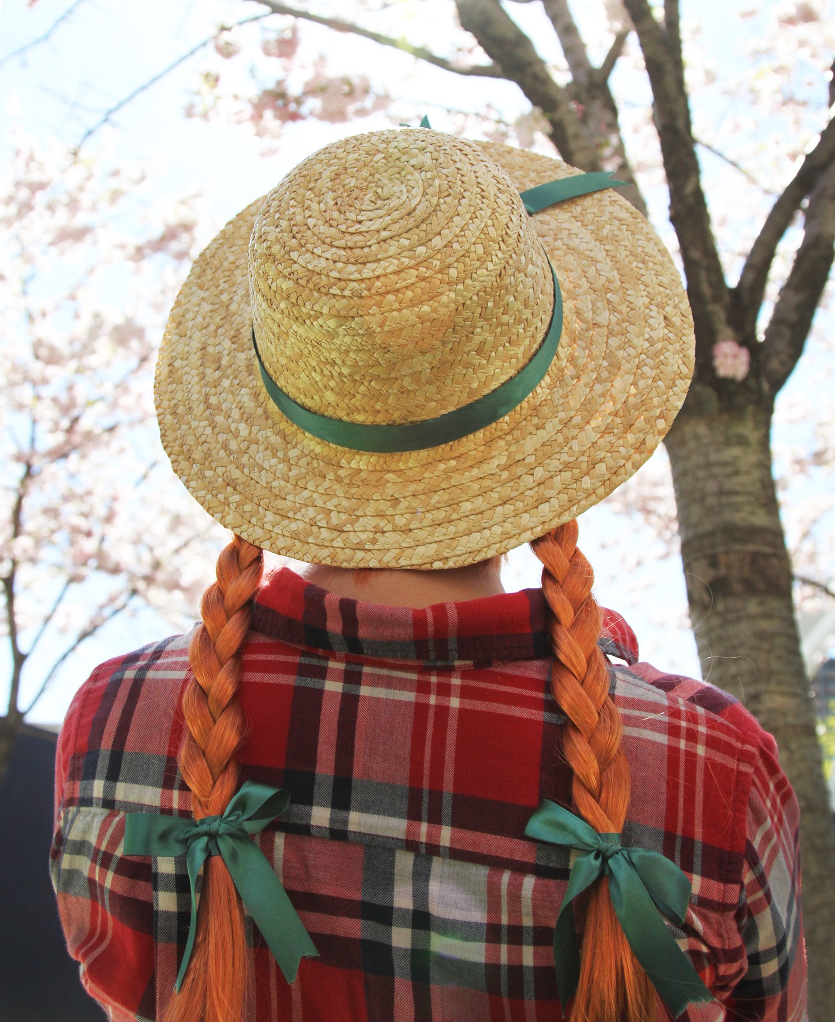 anne of green gables dress up costume Location: Atlanta Distribution Center