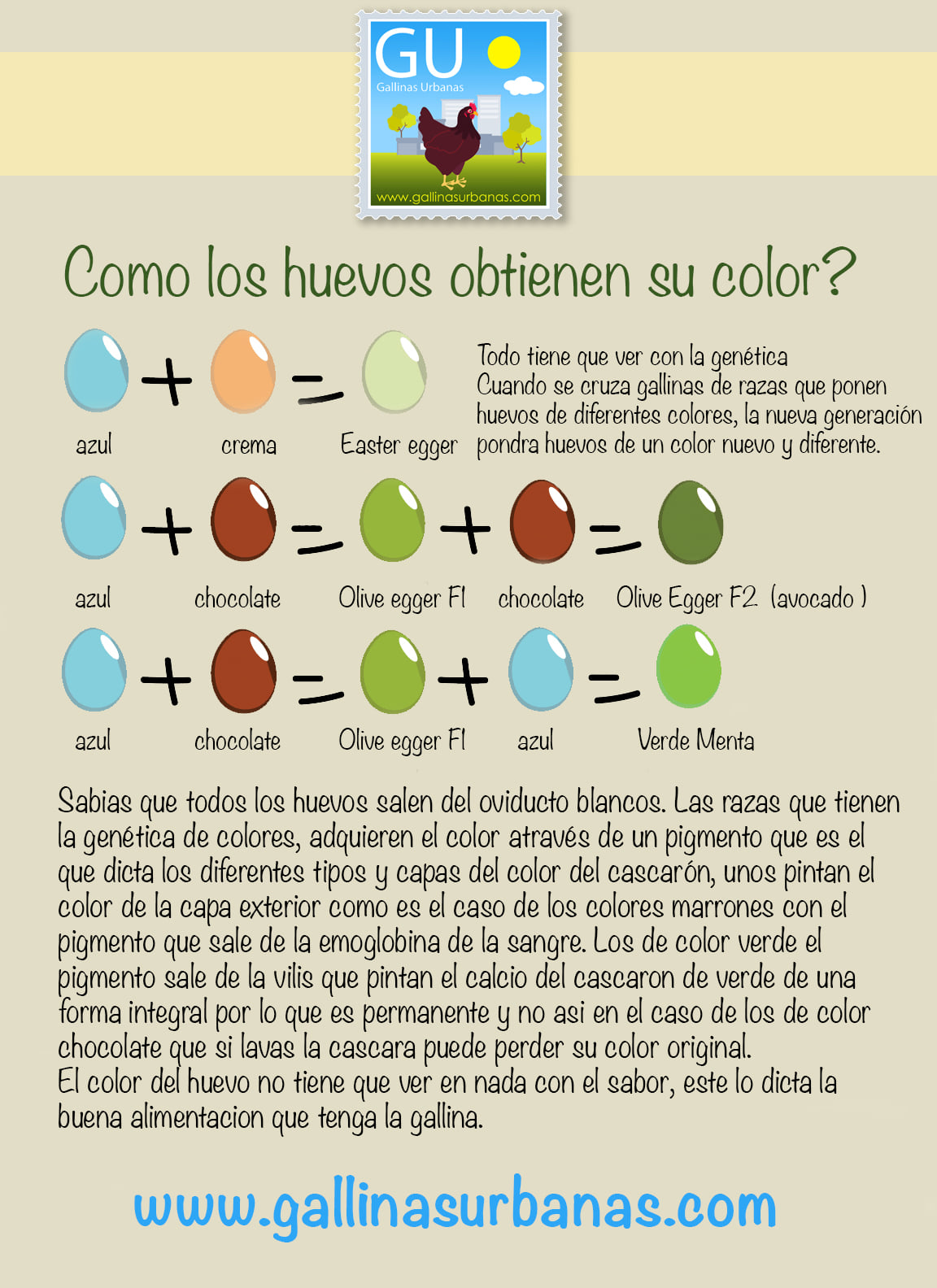 tabla-de-colores-de-c-scara-de-huevo-glidden-qu-tanto-pinta-el