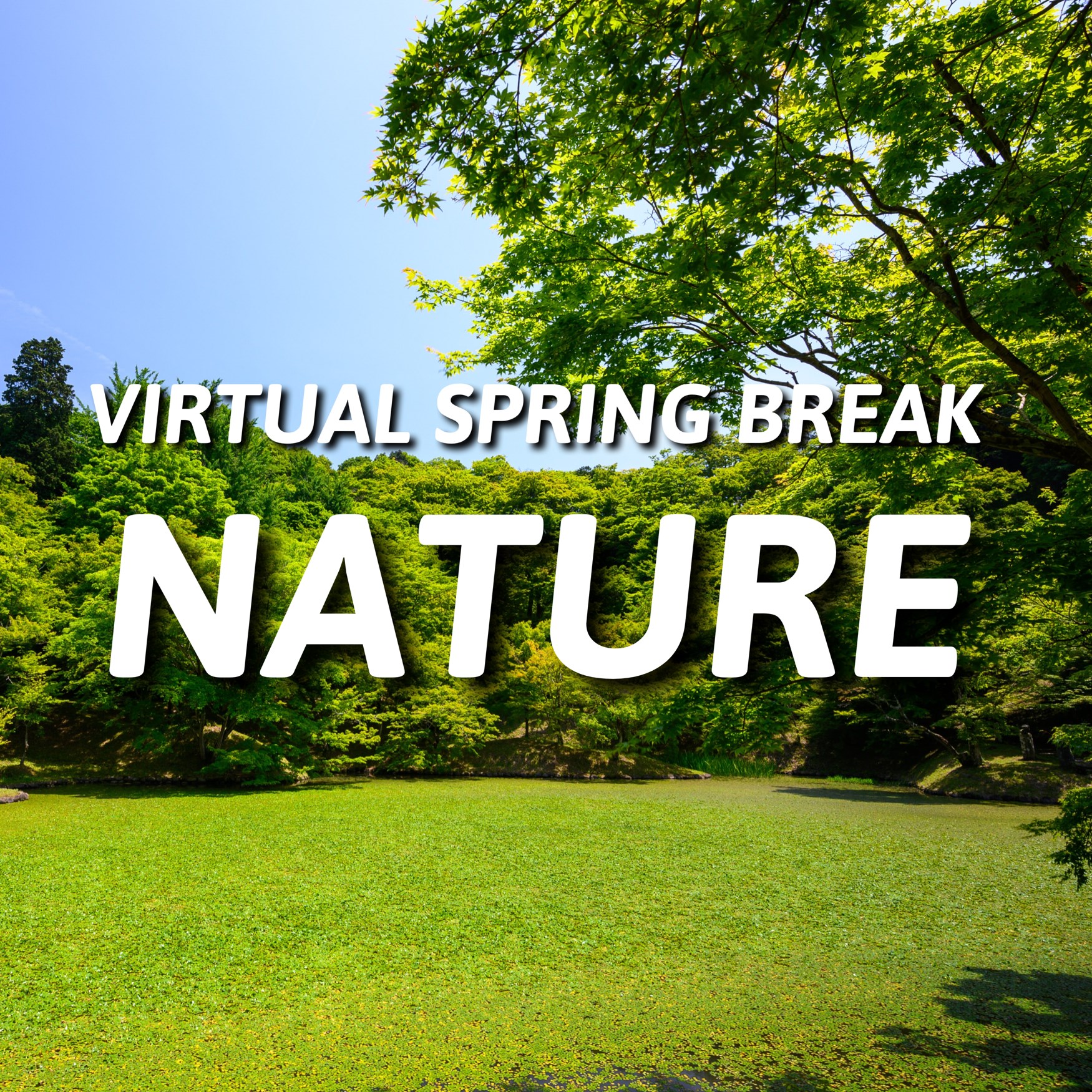 United City of Yorkville Parks and Recreation Department | Yorkville IL
