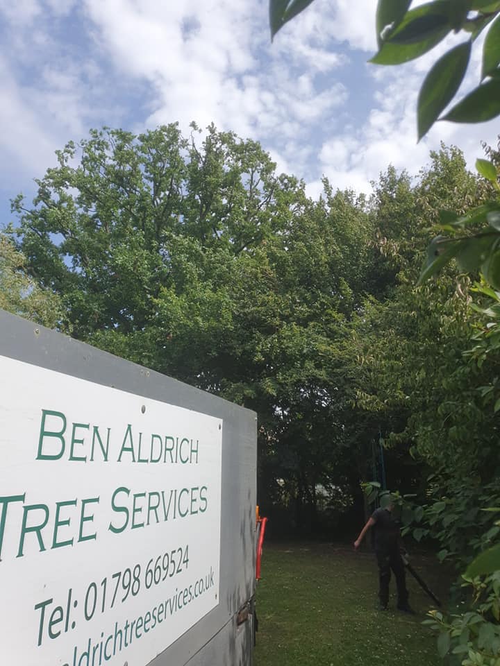 Ben Aldrich Tree Services | Pulborough